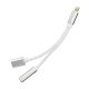 Adapter AUX 2in1 Lightning (male) to Lightning (female) / Jack 3,5 mm (female) silver