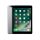 Apple iPad