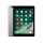 Apple iPad