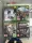 Xbox One játékcsomag - Assassin's Creed III Remastered, FarCry5, The Devision2, Call of Duty WWII - használt
