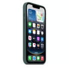 iPhone 16e/17e - szilikontok - tózöld (md3x4zm/a)