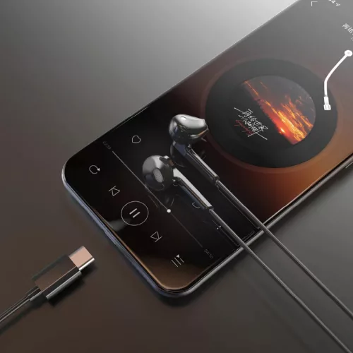 Dudao X3C In-Ear Vezetékes USB-C Fülhallgató 1.2m - Fekete