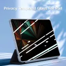 Lito - 2.5D Klasszikus Üveg - iPad Pro 11 (2024) - Adatvédelmi üvegfólia