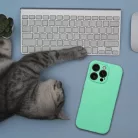 Szilikon 2mm tok iPhone 16 Pro-hoz, kompatibilis MagSafe-kel menta