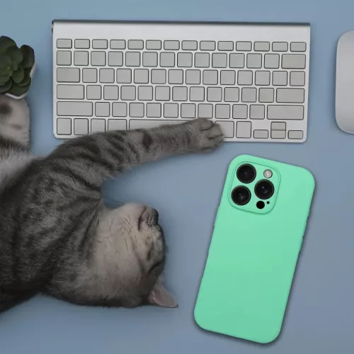 Szilikon 2mm tok iPhone 16 Pro-hoz, kompatibilis MagSafe-kel menta