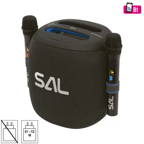 SAL PARCUBE boombox, 100 W, 2db vezeték nélküli mikrofon, 5db hangszóró, LED fényeffekt, IPX6 védelem, bluetooth