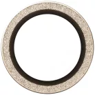PanzerGlass Hoops Glitter Edzett Üveg Lencsevédő iPhone Air - Arany üvegfólia
