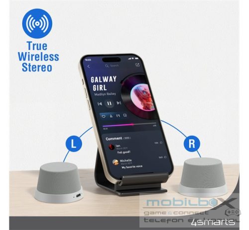 4smarts SoundForce MagSafe kompatibilis bluetooth hangszóró, ezüst / szürke